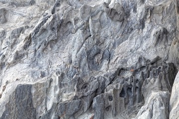 Surface of a weathered grey metamorphic rock.
