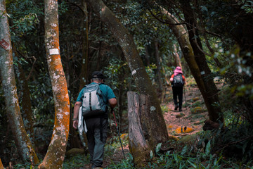 Hiking