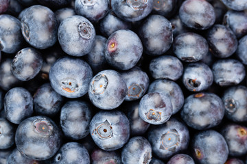 Fresh blueberry background. Texture blueberry berries close up.