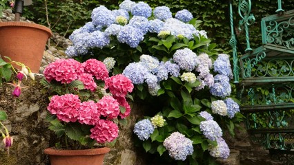 Natural Bouquet of flowers