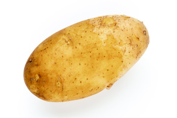 Young potato isolated on white background. Harvest new. Flat lay, top view.