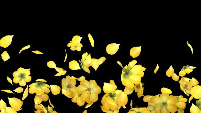 3D animation of a yellow flower petals flow with alpha layer