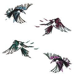Hand Drawn Magpies Pattern