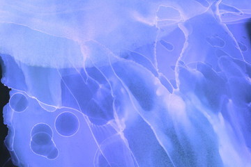 Colorful hand painted alcohol ink background. Abstract delicate texture. Contemporary wallpaper.