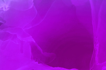 Colorful hand painted alcohol ink background. Abstract delicate texture. Contemporary wallpaper.