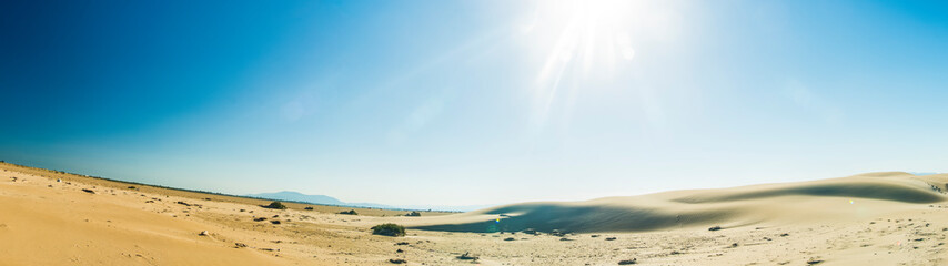 Fototapeta na wymiar paisaje de las dunas del desierto