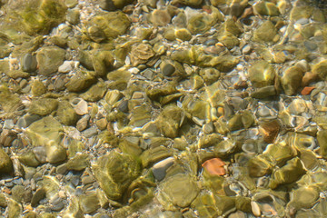 reflection of trees in water – dim river alanya