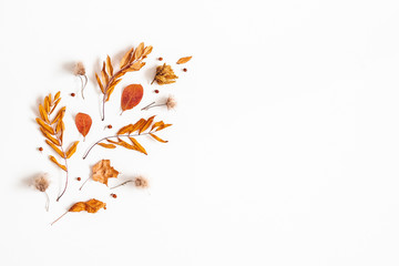 Autumn composition. Dried leaves, rowan berries on white background. Autumn, fall, thanksgiving day...