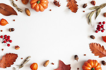 Autumn composition. Dried leaves, pumpkins, flowers, rowan berries on white background. Autumn,...