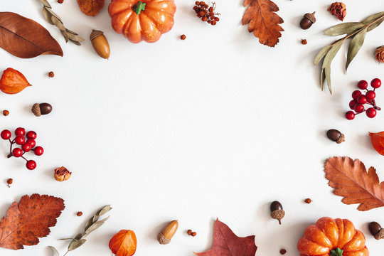 Autumn composition. Dried leaves, pumpkins, flowers, rowan berries on white background. Autumn, fall, halloween, thanksgiving day concept. Flat lay, top view, copy space