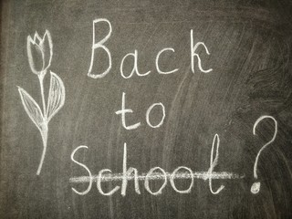 School or Job?