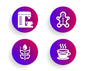 Gluten free, Coffee machine and Gingerbread man icons simple set. Halftone dots button. Coffee cup sign. Bio ingredients, Cappuccino machine, Christmas cookie. Tea mug. Food and drink set. Vector