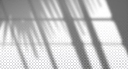 Realistic transparent drop shadow of window with palm branch on a wall, overlay effect for photo, design presentation. Vector illustration