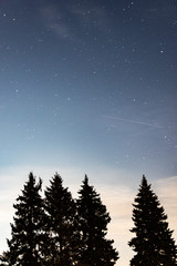 Starry sky with a shooting star above the fir trees