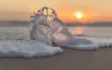 Foto op Plexiglas Glazen bol op het strand in de schuimgolf in zonsondergang © Andreas Ardler