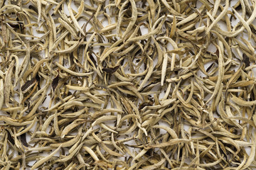 Dry white tea leaves as a background. Chinese Bai Hao Yin Zhen.