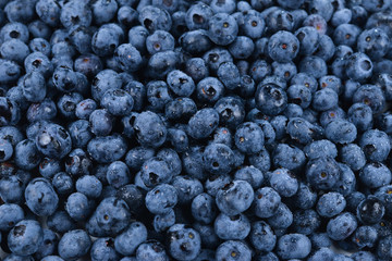 Fresh blueberry background. Texture blueberry berries close up.