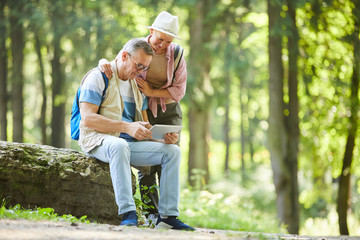 Fototapeta premium Mature couple of hikers examining online map on digital tablet while have adventure trip in the forest in summer day