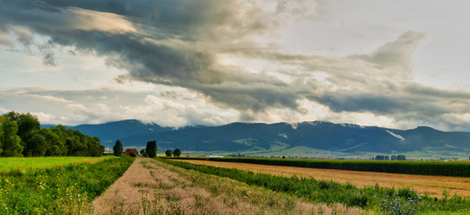 Fields of cereals at the base of the mountains