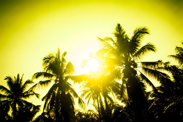Obraz na płótnie Canvas Silhouette coconut tree at sunset abstract summer backgrpound