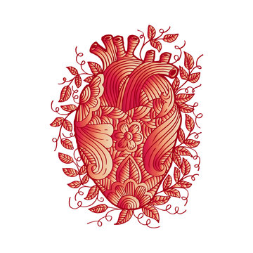 Hand drawing sketch human heart .