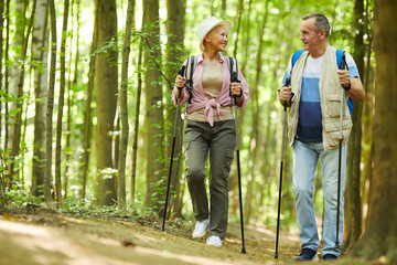 Healthy senior hikers exercising together they walking in the forest during their hike