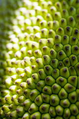 jackfruit