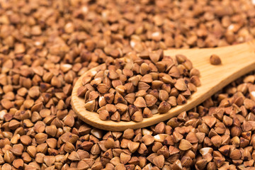 Lot of whole raw brown buckwheat grain macro