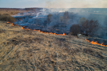 Forest fire. Dry grass burning in the field, near the river.