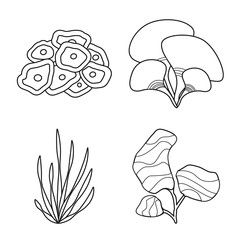Isolated object of sea and ocean sign. Collection of sea and flora stock vector illustration.