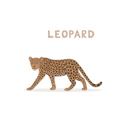 Vector illustration, a cartoon leopard, isolated on a white background.