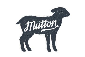 Mutton, Sheep, Lamb. Lettering. Vintage lettering, retro print