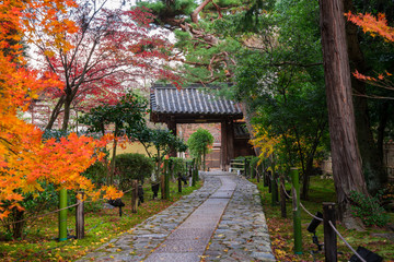 京都　鹿王院の紅葉