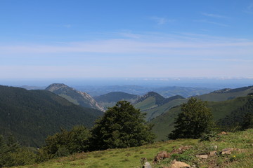 landscape in the mountains