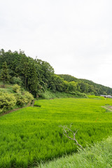 交野の風景