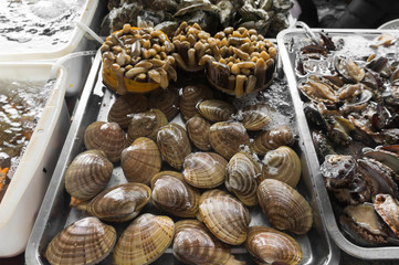 mollusks in the market