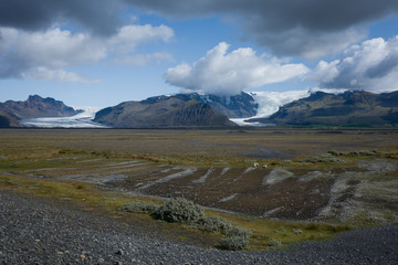landscape of Island