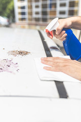 Man hands cleaning and spaying car exterior. Shit bird dropping on car roof.