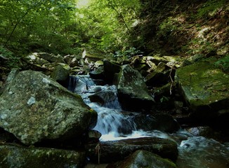 三頭山の沢