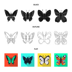 Vector illustration of exotic and botanic icon. Set of exotic and tropics stock vector illustration.