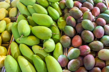 Fresh mangoes in the market