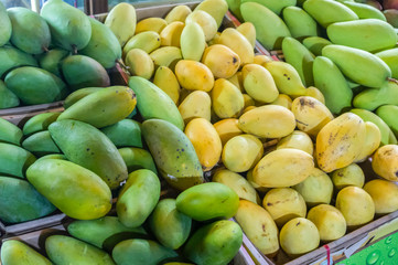 Fresh mangoes in the market