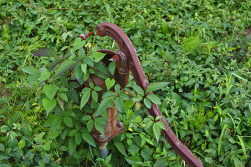 古い井戸の手押しポンプ