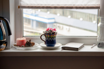 Planning a day on the windowsill. A window to the world. Morning