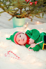 newborn baby elf near Christmas tree with lights,hold candy cane