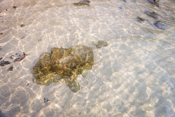 Small waves lapped the beach
