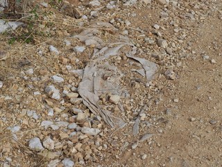 Corfu, Griechenland, Umweltverschmutzung durch weggeworfene Big Bags