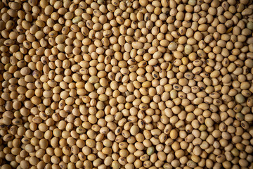 Soybean background.