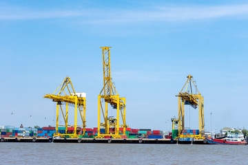 Fototapeta premium Group of big crane near the river ,