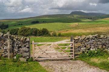 Fototapeta na wymiar Hikking between Langcliffe and Stainforth in the Yorkshire Dales National Park passing Catrigg Force